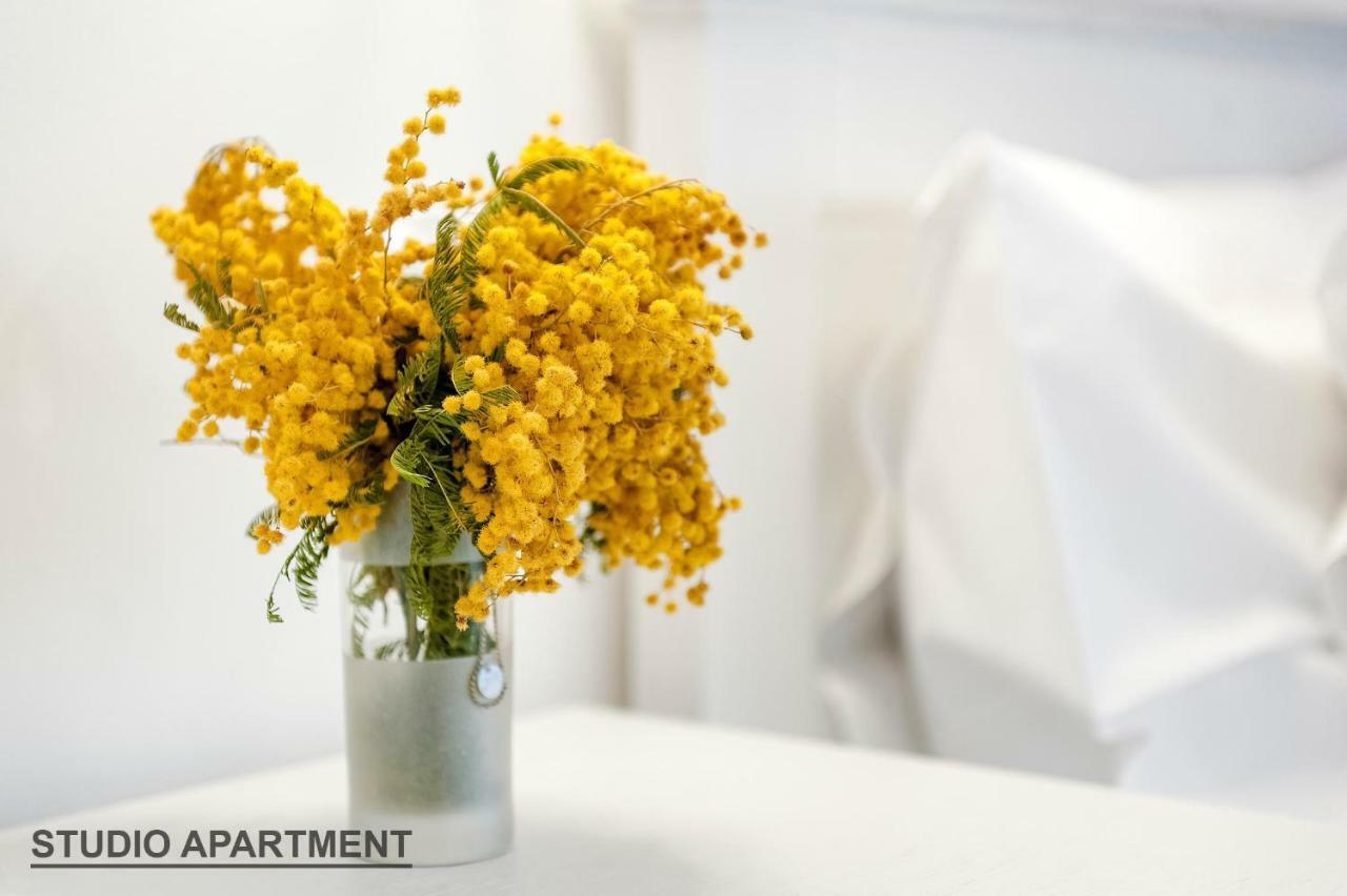 Apartments Rialto Gallery 시베니크 외부 사진